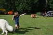 MCE Sommertreffen 2017 - 245